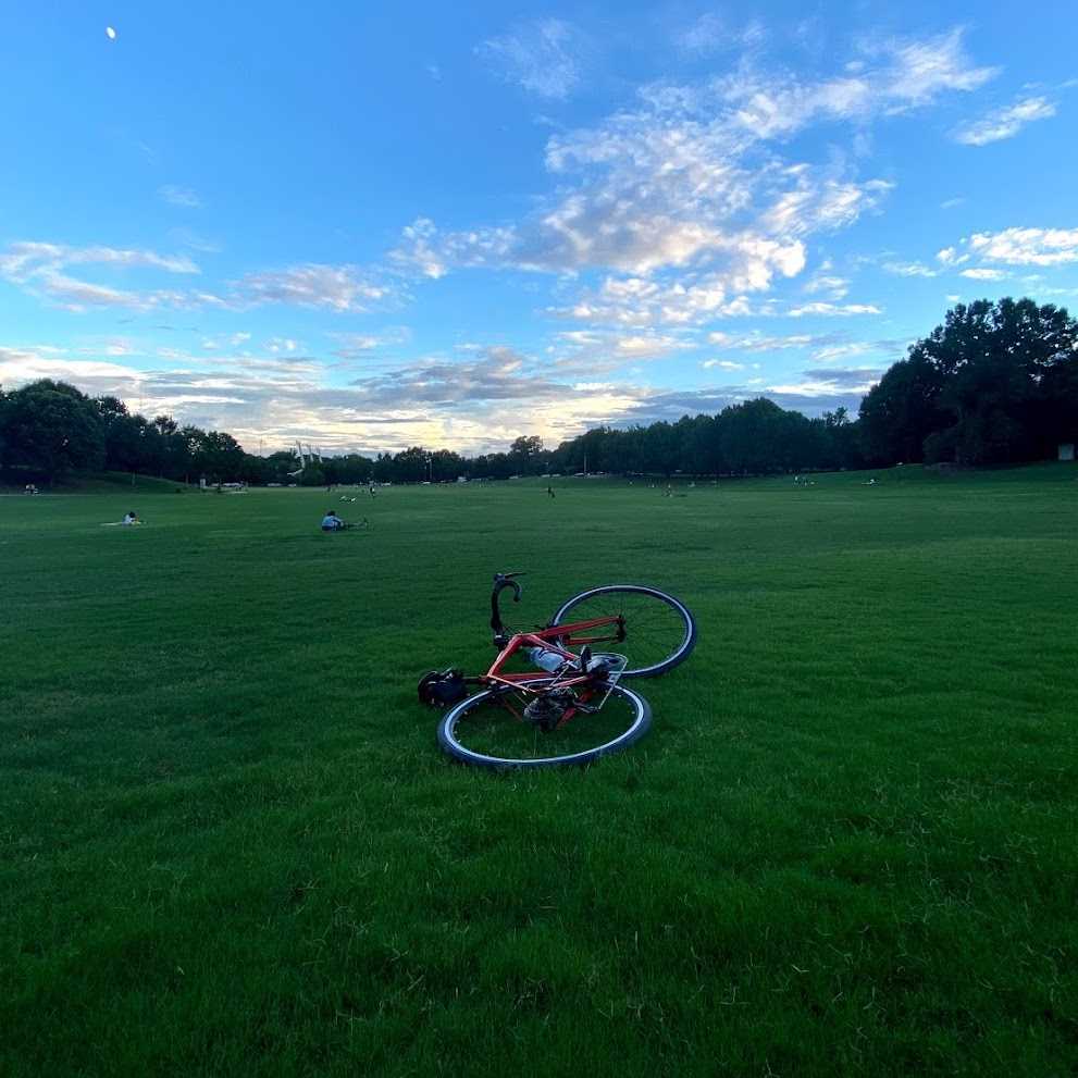 bicycle in the grass
